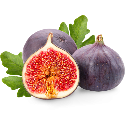 Bursa Black Fig