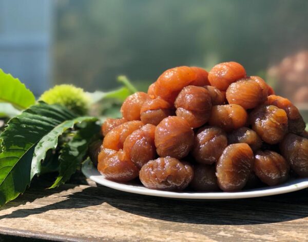 70639342-5a0d-4c32-8d01-0a11ca2e0961-scaled